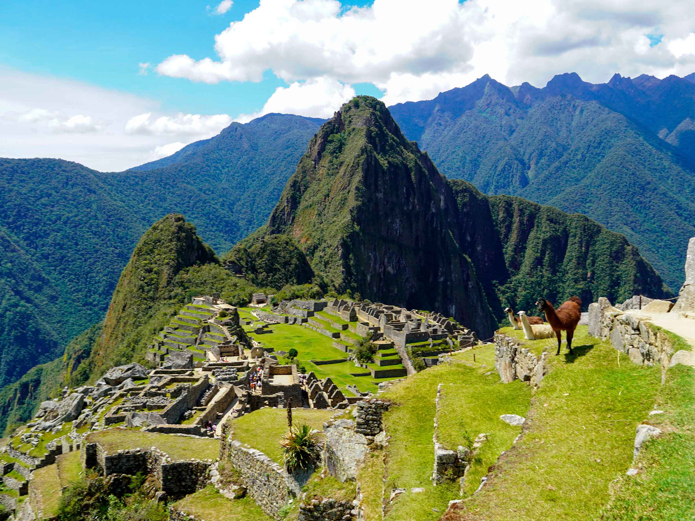 Machu Picchu Trekking Tour Sentier Machu Picchu LVTQDC Machu Picchu Trekking Tour Sentier Machu Picchu LVTQDC